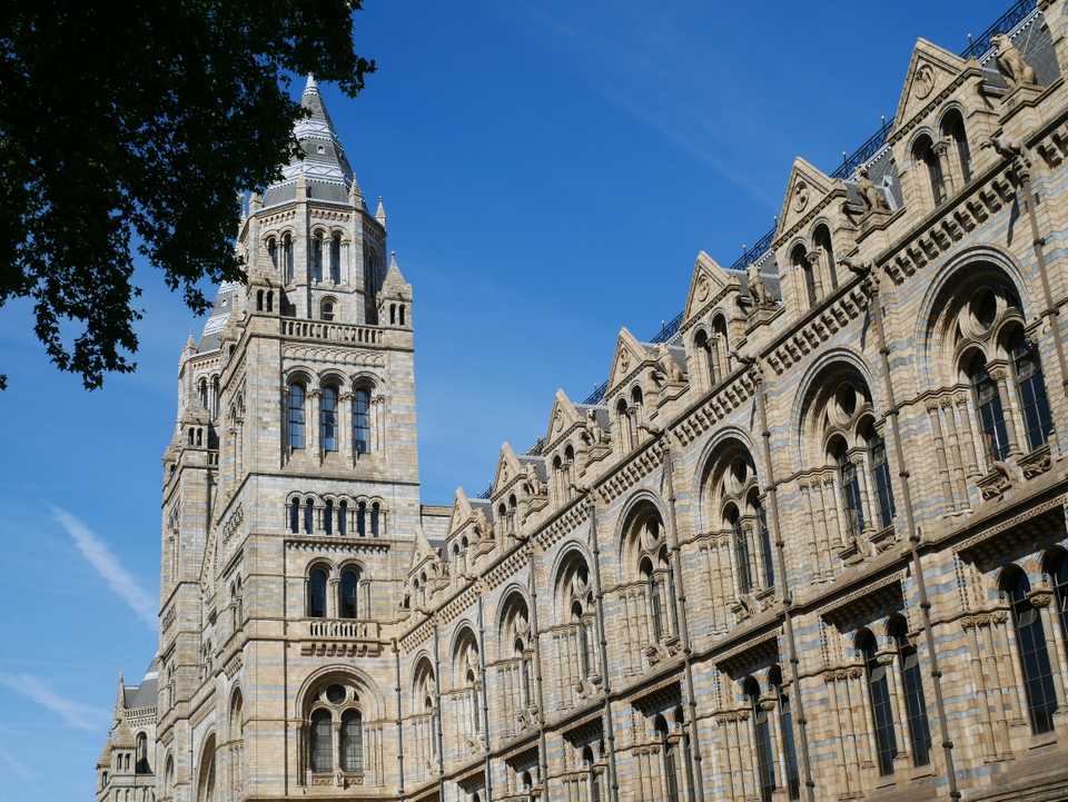 The stunning Natural History Museum