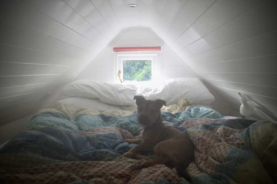 Tiny House