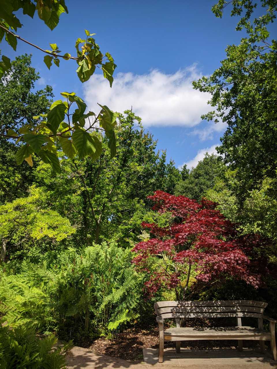 Wisley