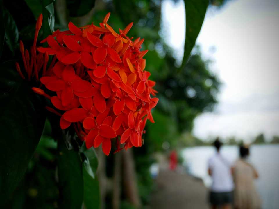 Backwaters