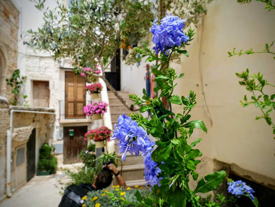 Polignano