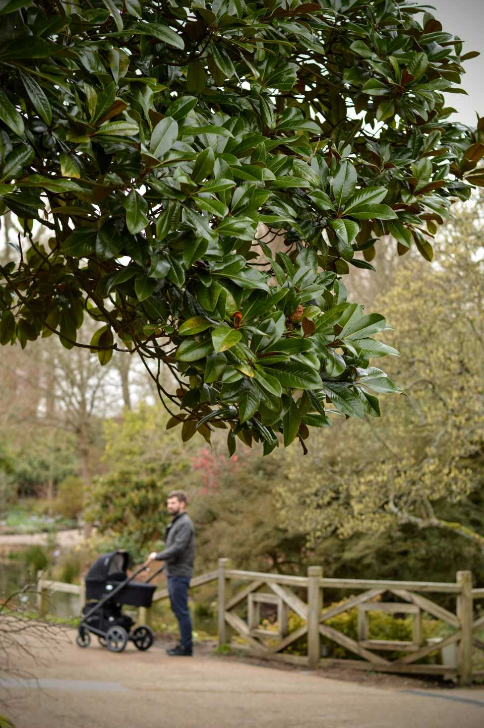 Wisley Wisley