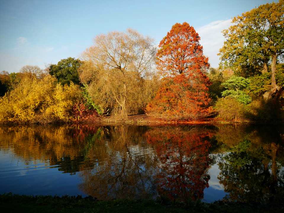 autumn kew