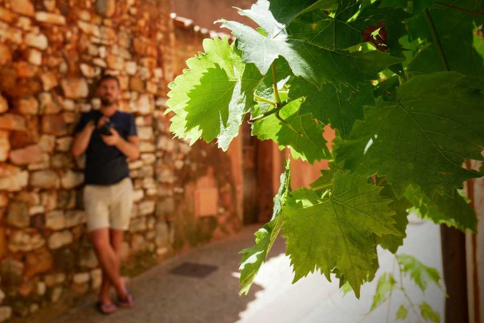 Roussillon