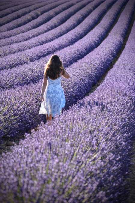 /valensole-provence/