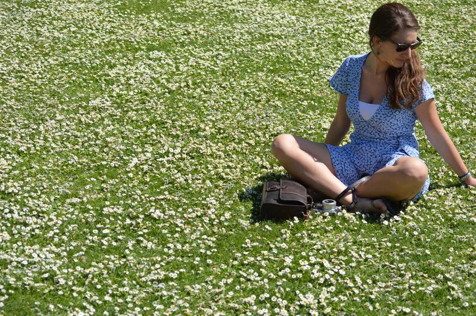 Not quite pushing up daisies