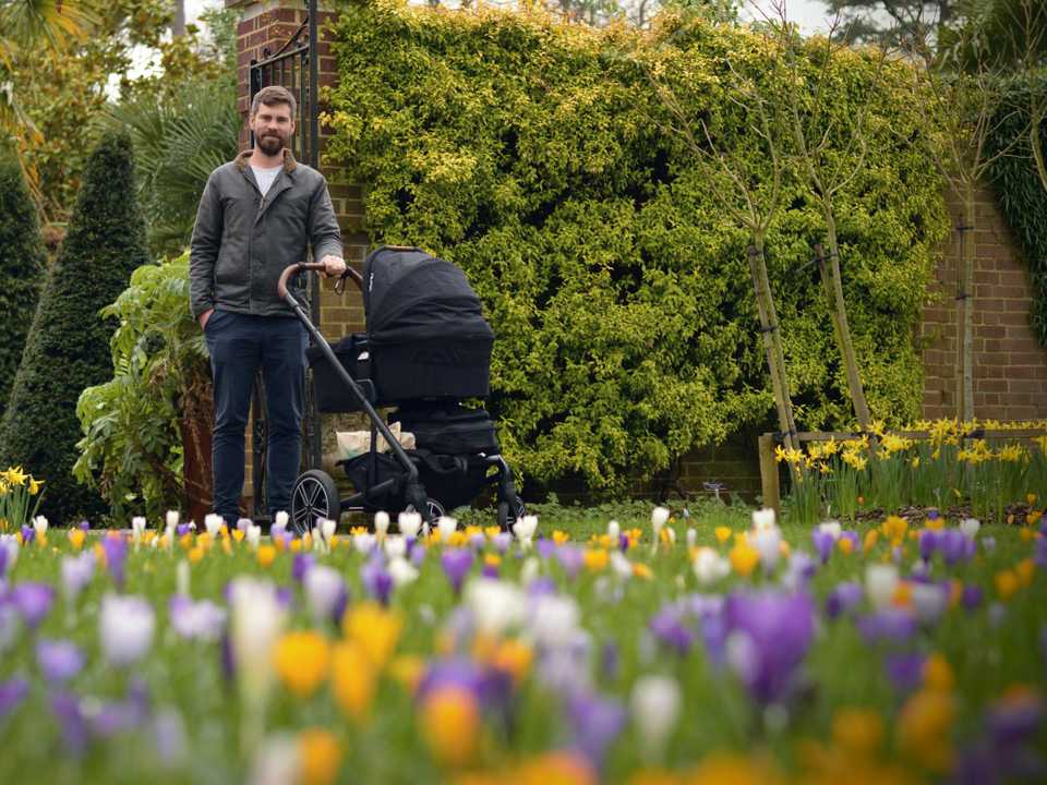 Wisley Wisley