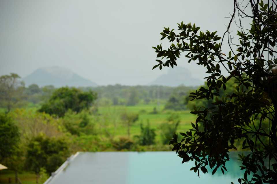 Aliya Resort