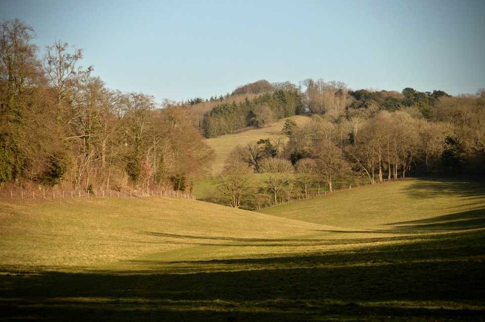 Those rolling green fields