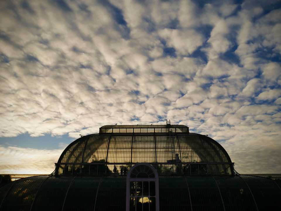 autumn kew
