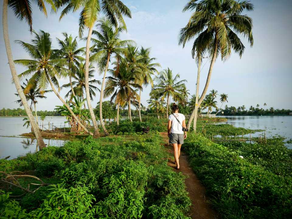 Backwaters