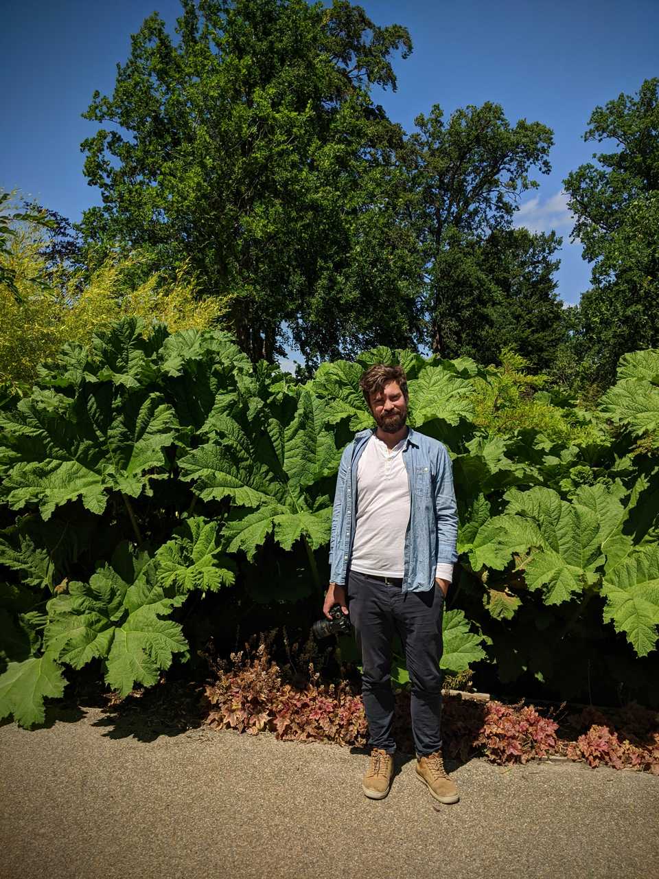 Wisley Summer