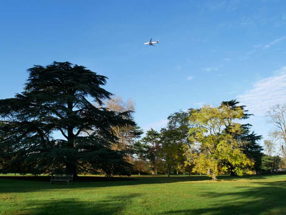 autumnkew