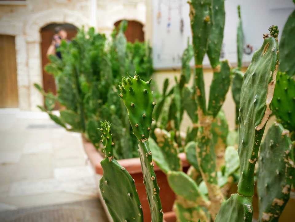 Polignano