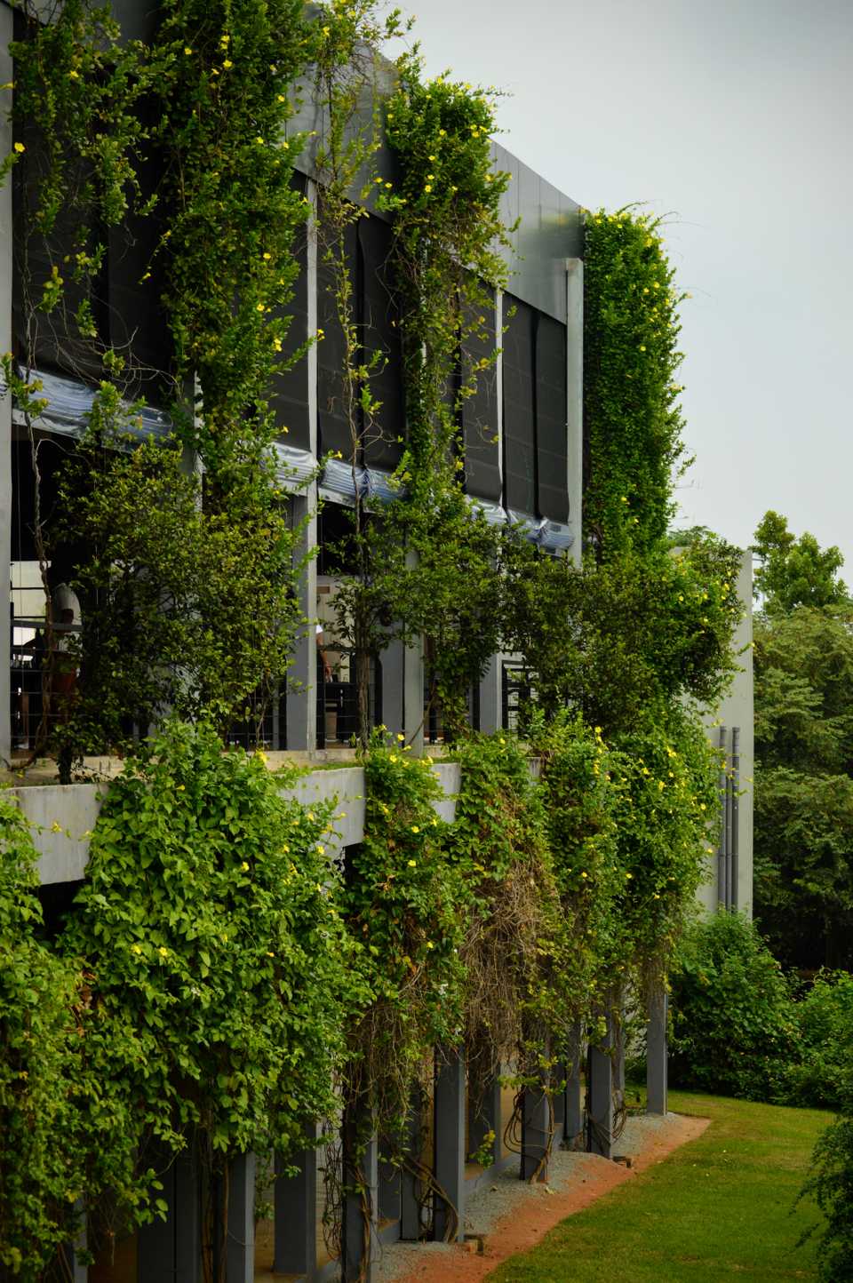 Aliya Resort