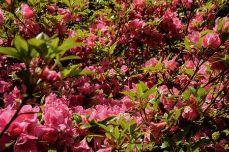 /wakehurst-surprises/