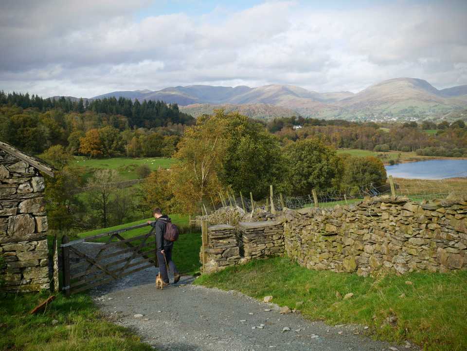 country