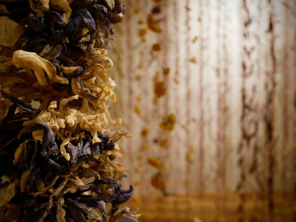 autumn kew