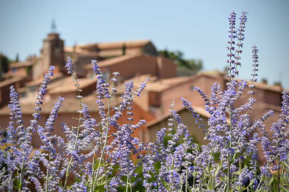Roussillon