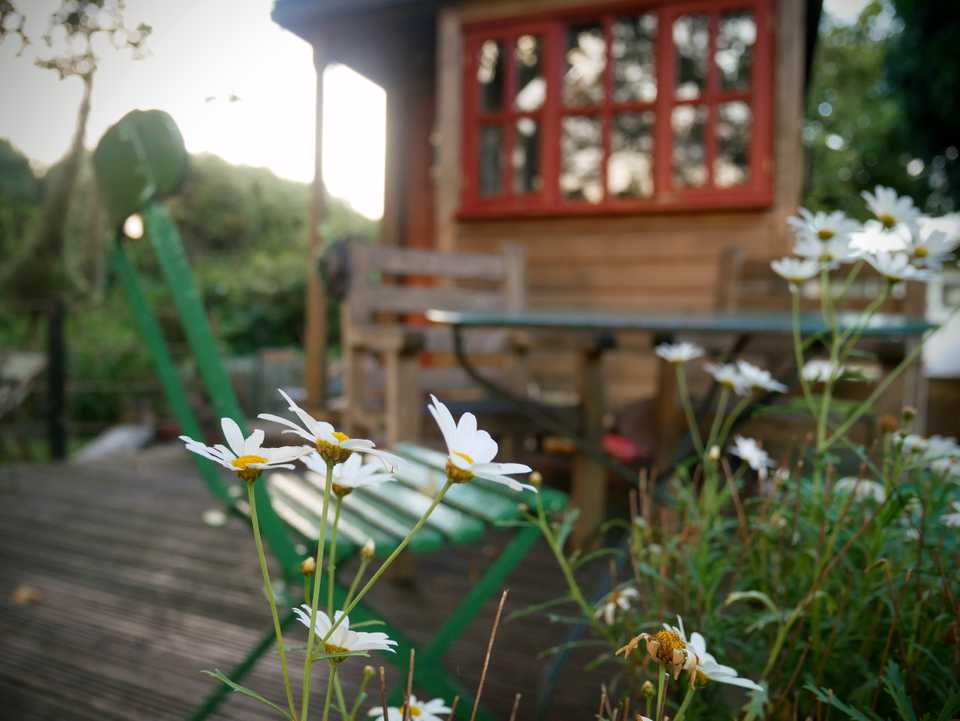 Tiny House