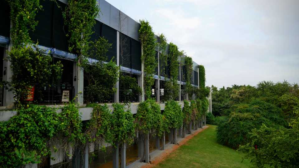 Aliya Resort